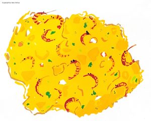 01 Lamina TORTILLA CAMARONES MARCA AGUA